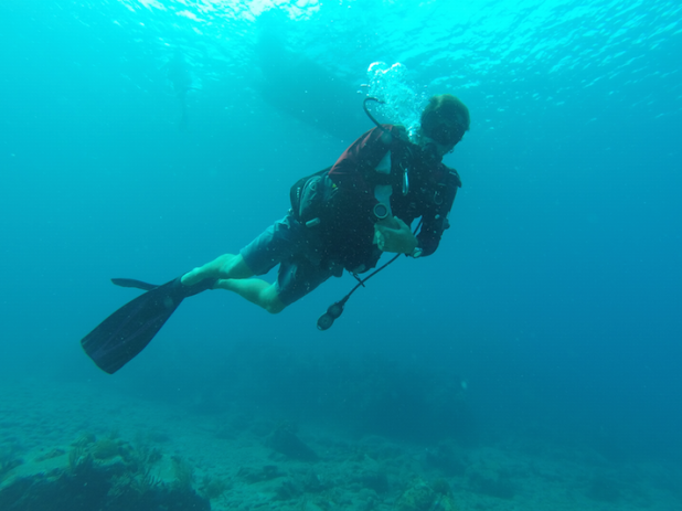 Scuba diving virgin islands