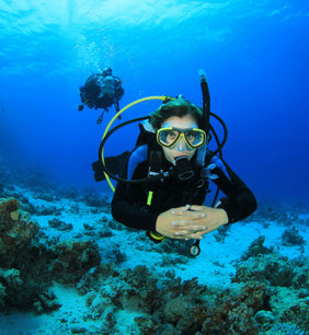 Scuba diving virgin islands
