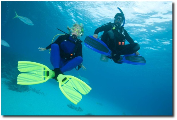 diving is an exciting and adventurous water